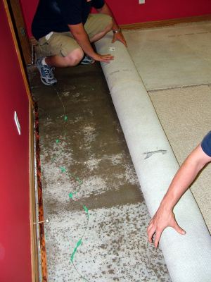 Bunnlevel water damaged carpet being removed by two men.